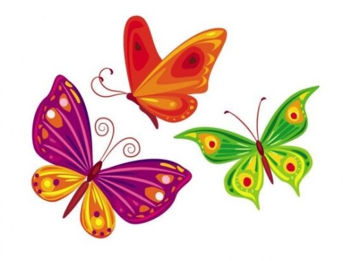 trzy kolorowe motyle