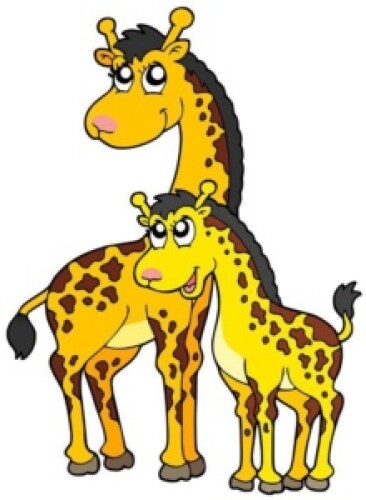 dwie żyrafy obok siebie