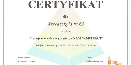 certyfikat za projekt 
